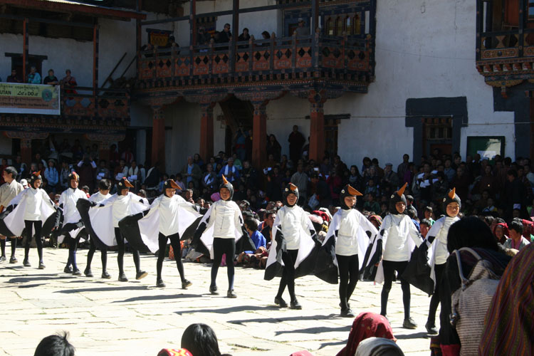 Black-Necked Crane Festival