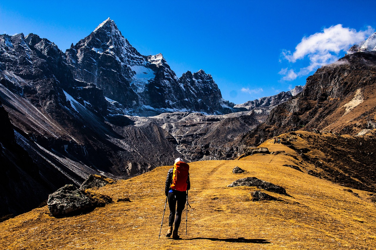 Druk Path Trek